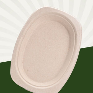 6.5 - inch Sugarcane Plate
